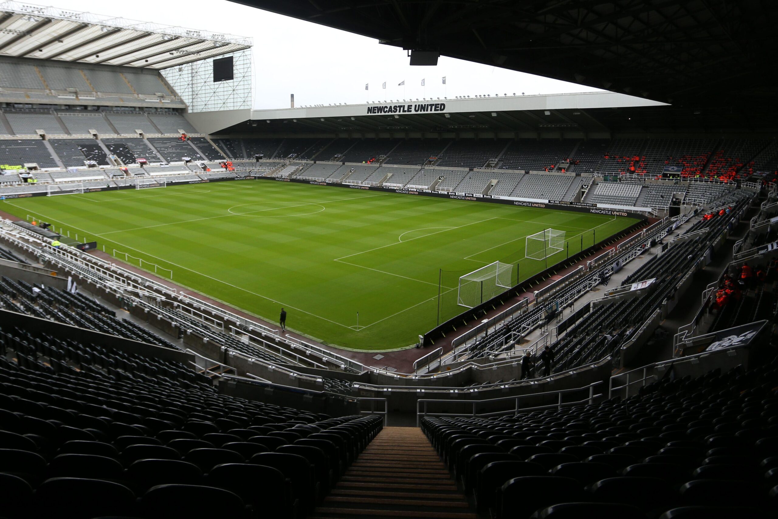 Pronósticos Newcastle vs Benfica Apuestas y cuotas de la Champions League