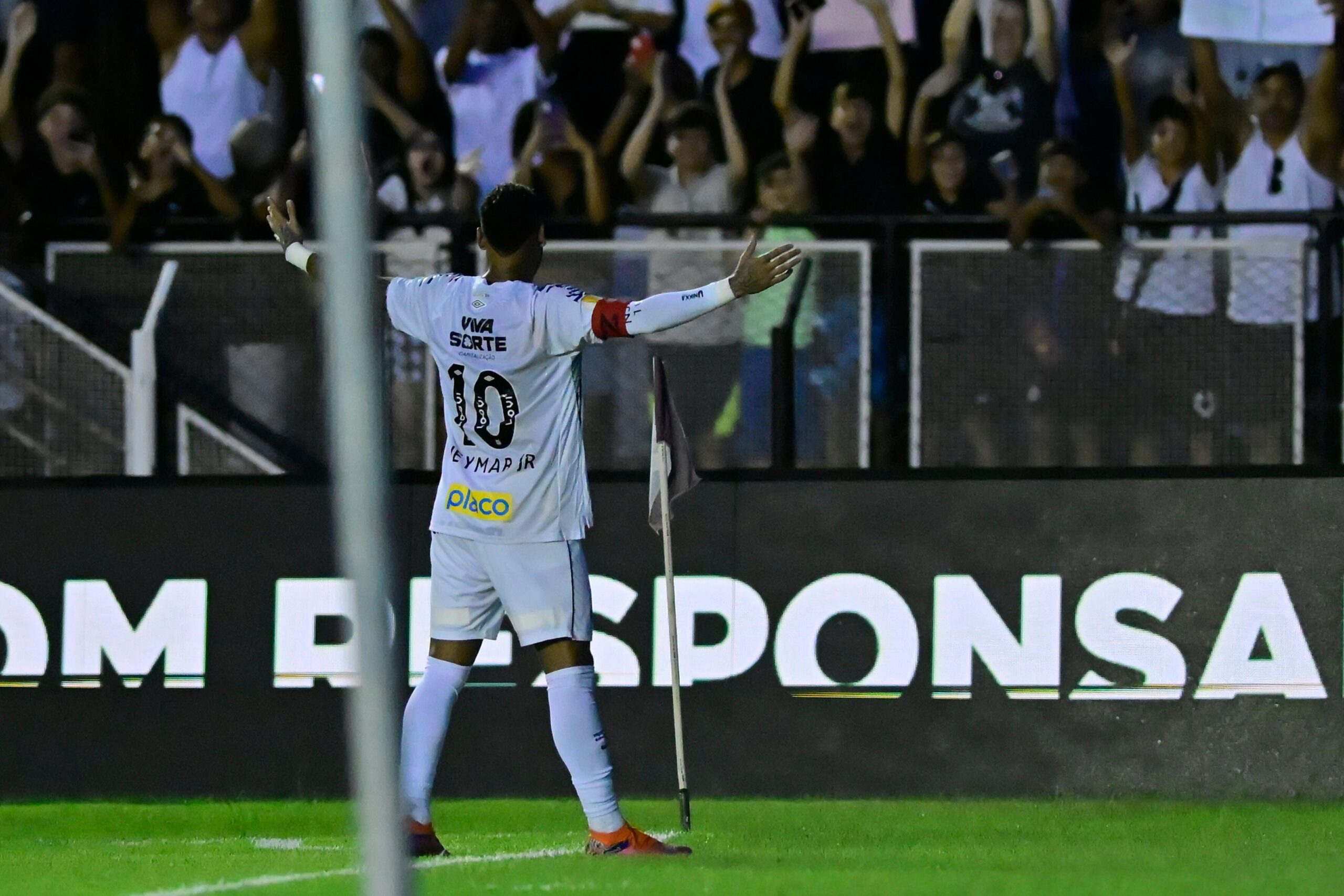 Palpites Santos x Flamengo as odds do Campeonato Brasileiro