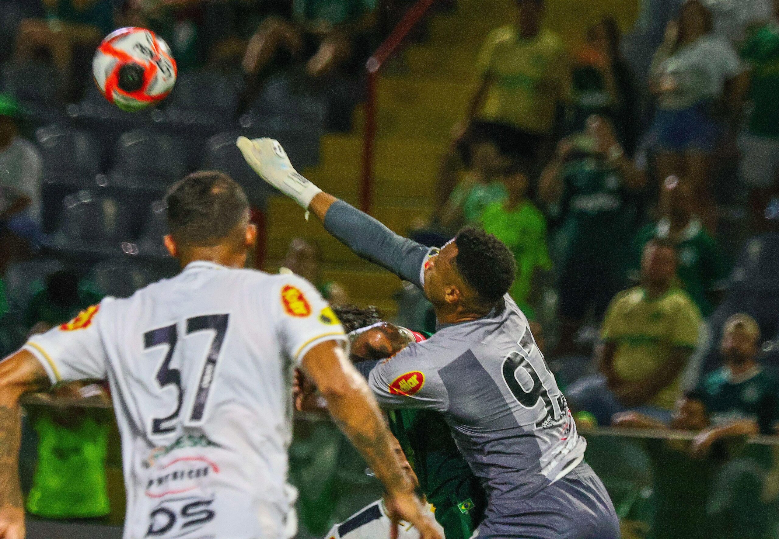 Novorizontino x Coritiba odds, palpites e onde assistir – Série B