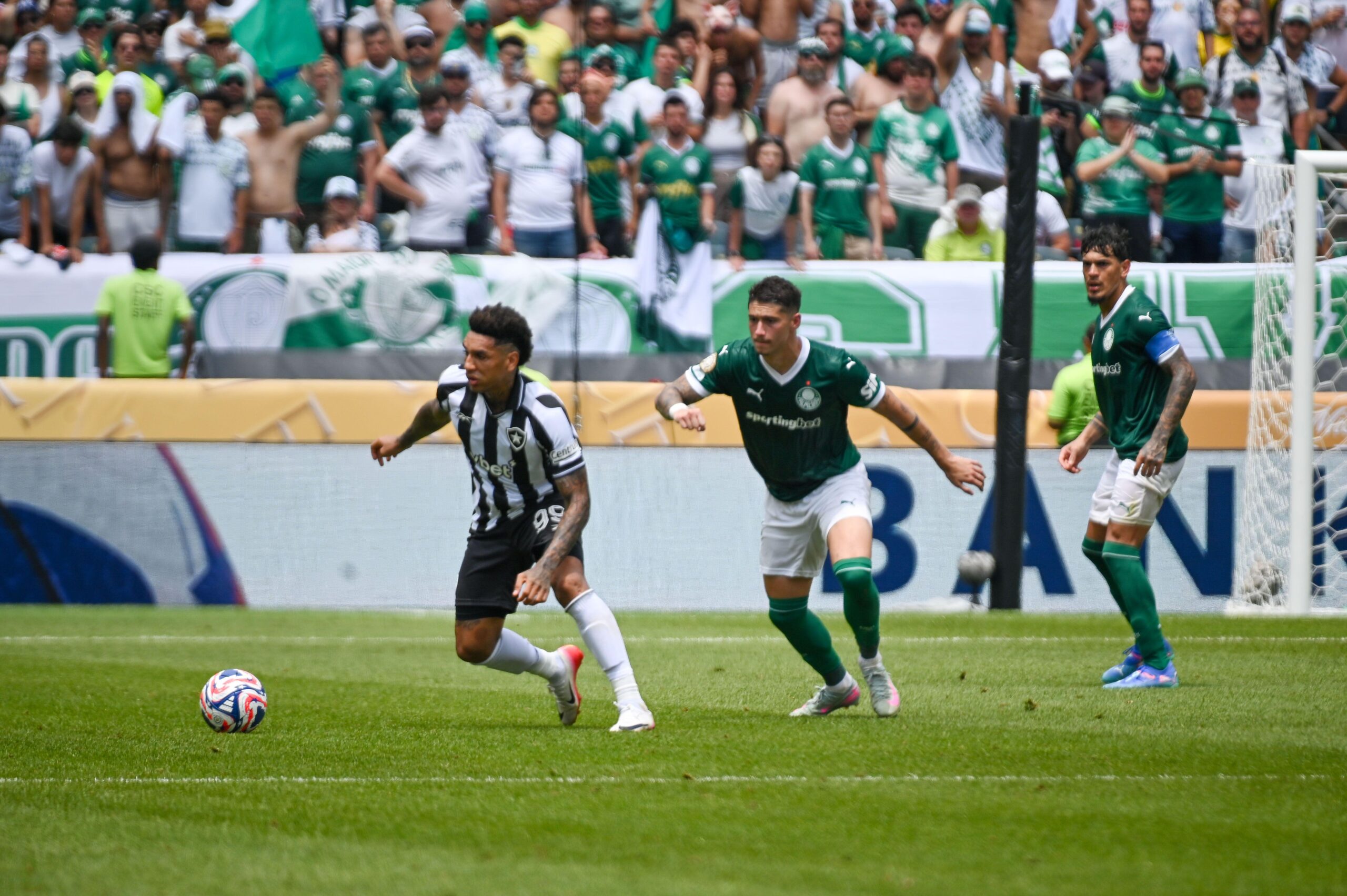 Botafogo x Palmeiras odds, palpites e onde assistir - Campeonato Brasileiro