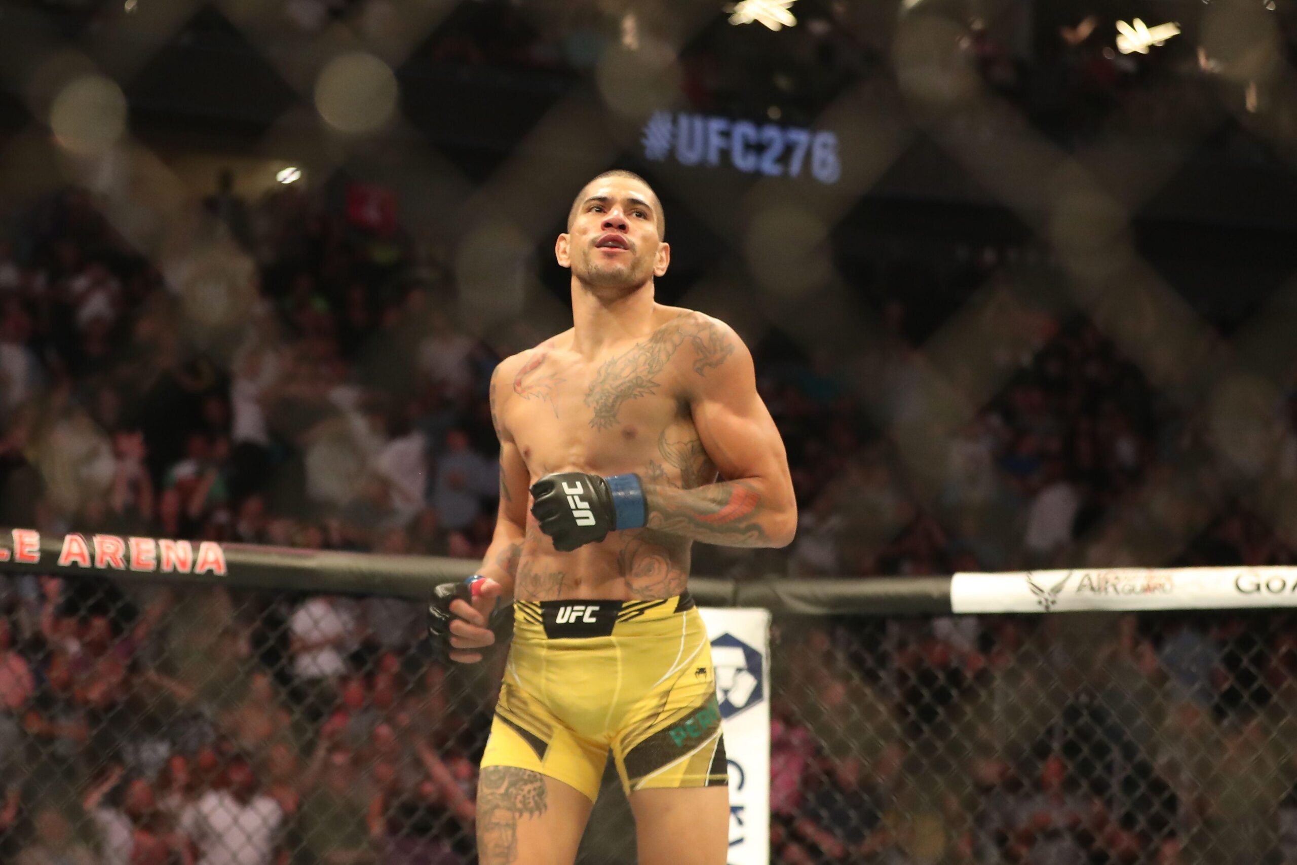 Ankalaev x Pereira 2 odds, palpites e onde assistir – UFC 320