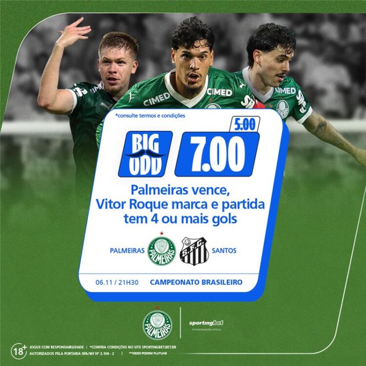 Big Odd Palmeiras x Santos