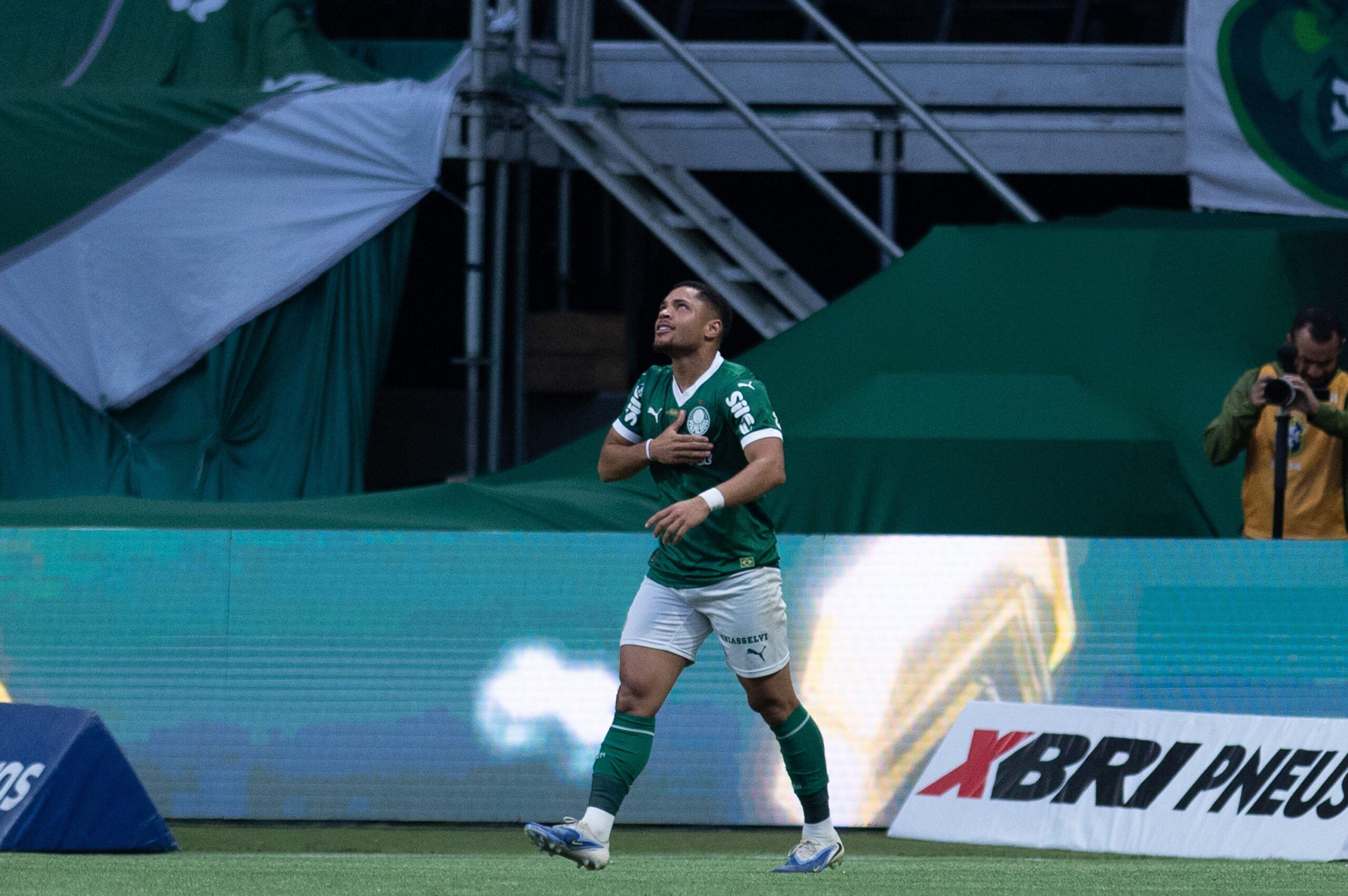 Bruno Vicari: Palmeiras x Santos