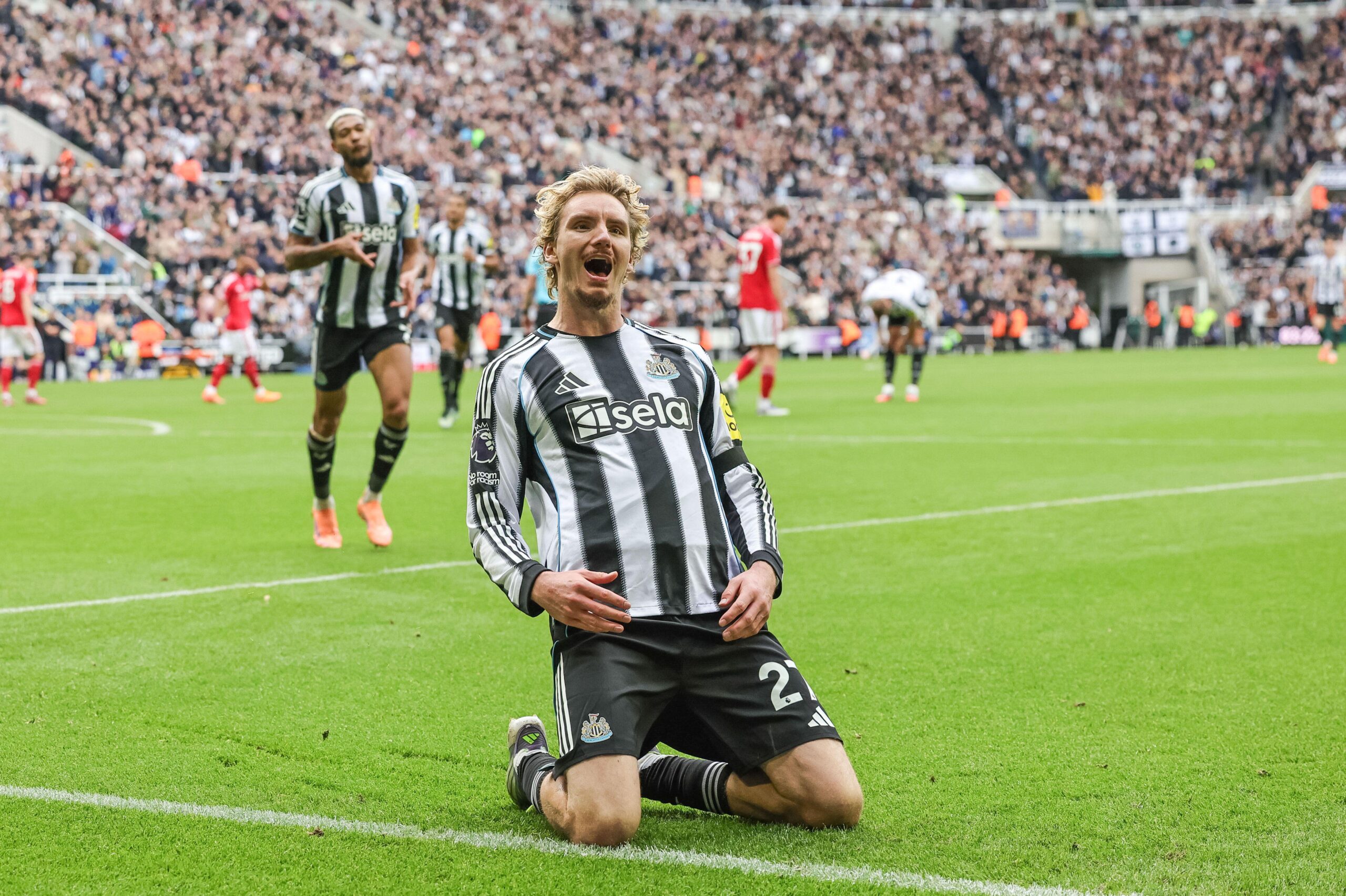 Newcastle x Manchester City odds, palpites e onde assistir – Premier League