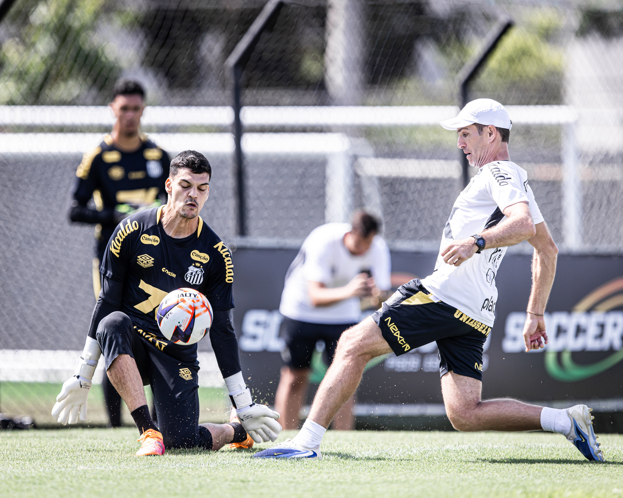 Santos x Novorizontino odds, palpites e onde assistir - Campeonato Paulista