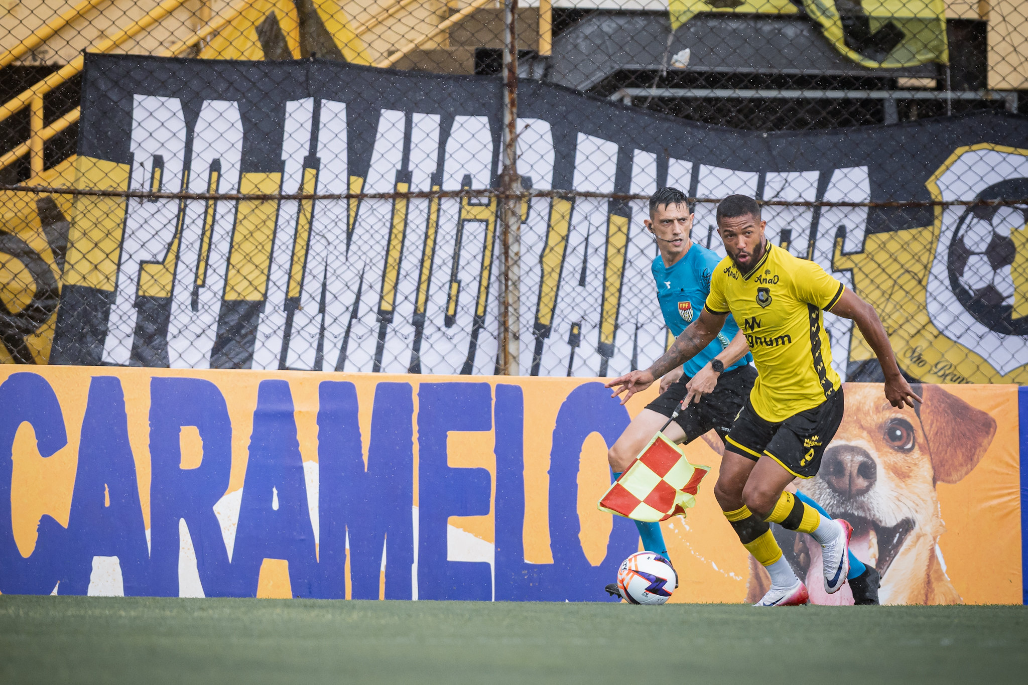 São Bernardo x Mirassol odds, palpites e onde assistir – Campeonato Paulista