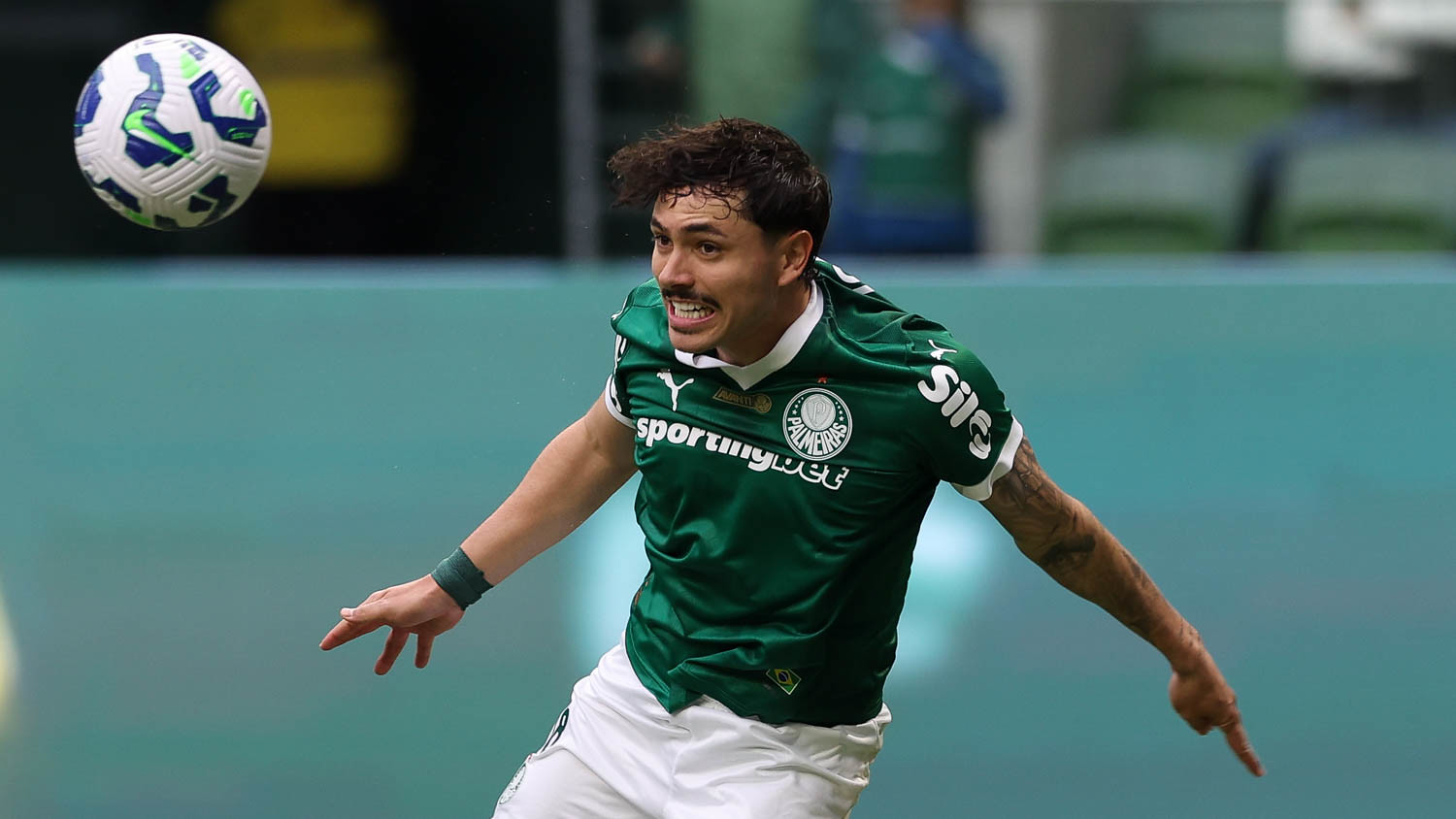 Botafogo-SP x Palmeiras odds, palpites e onde assistir - Campeonato Paulista