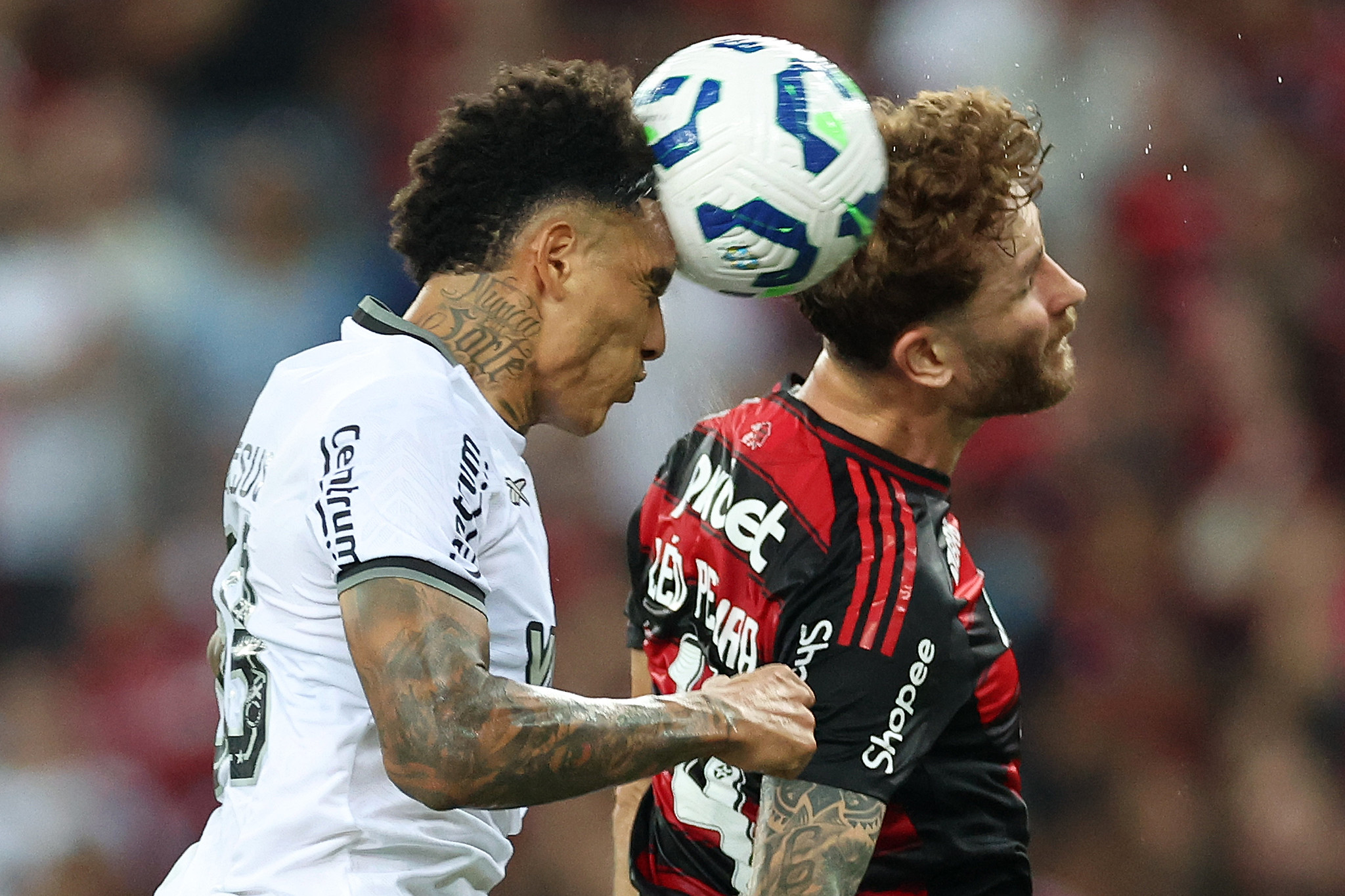 Botafogo x Flamengo odds, palpites e onde assistir – Campeonato Carioca