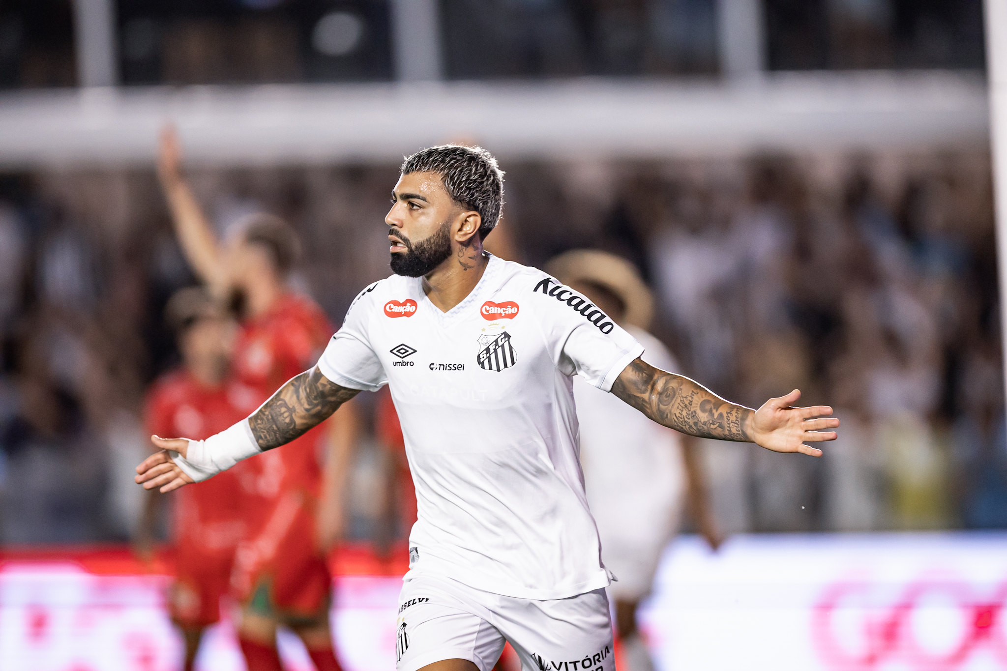 Novorizontino x Santos odds, palpites e onde assistir - Campeonato Paulista