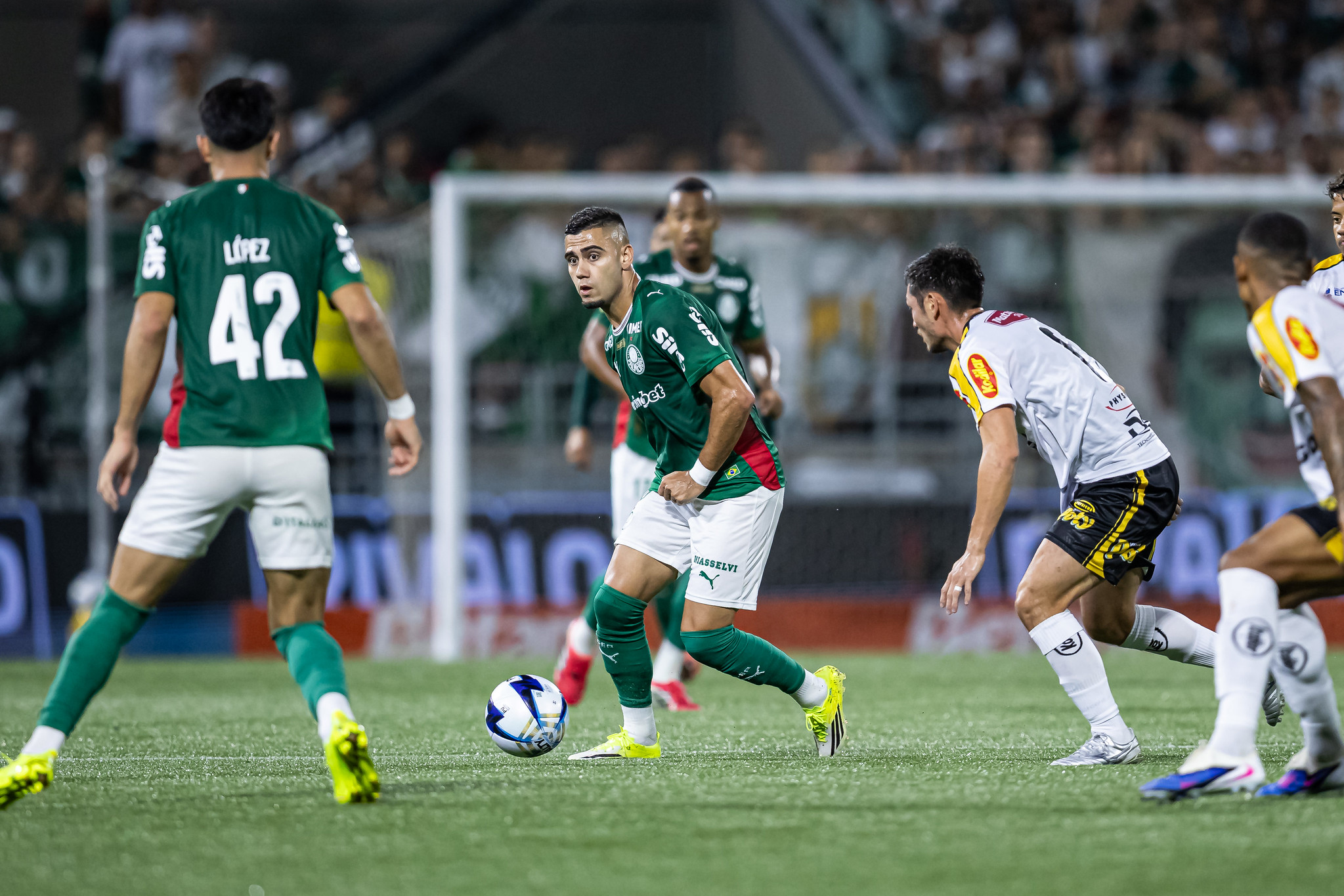 Novorizontino x Palmeiras odds, palpites e onde assistir - Campeonato Paulista