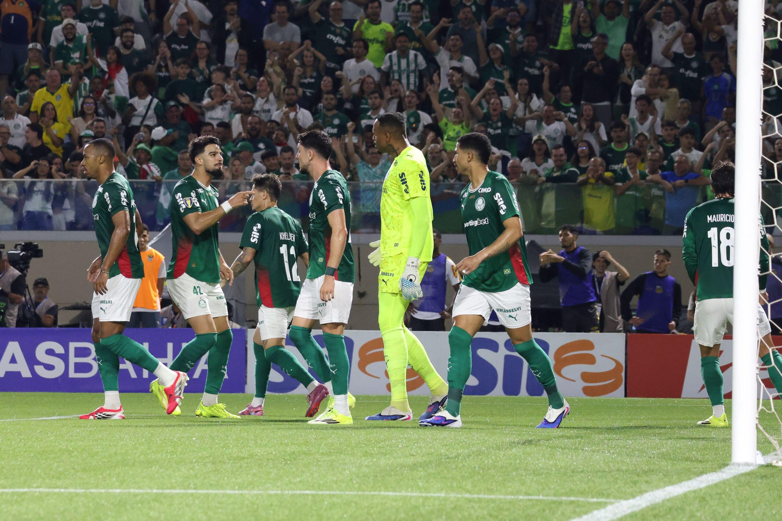 Vasco x Palmeiras odds, palpites e onde assistir – Campeonato Brasileiro