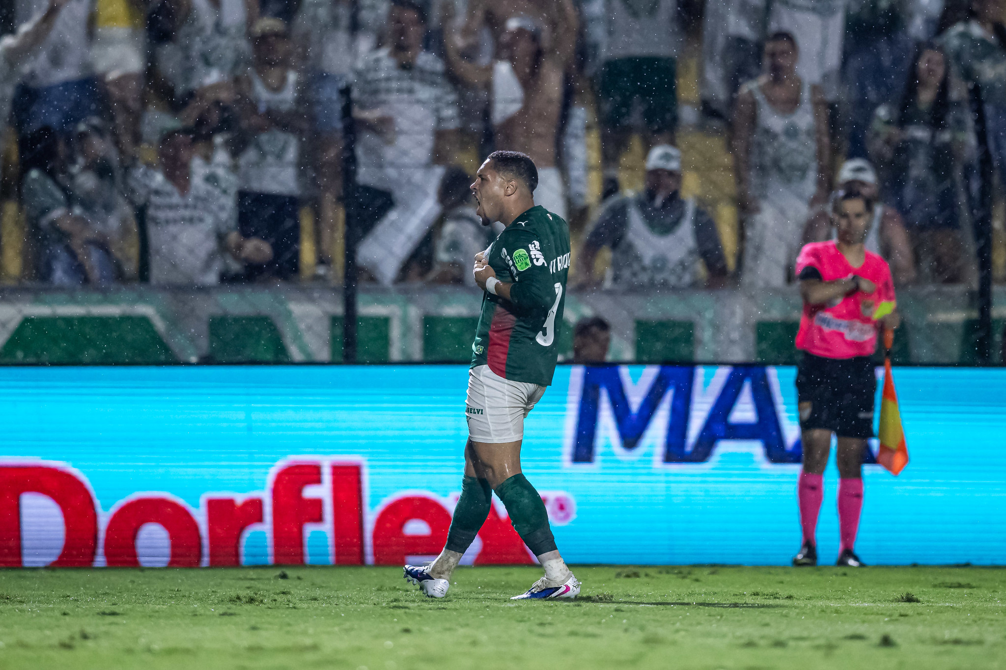 Palmeiras x Mirassol odds, palpites e onde assistir – Campeonato Brasileiro
