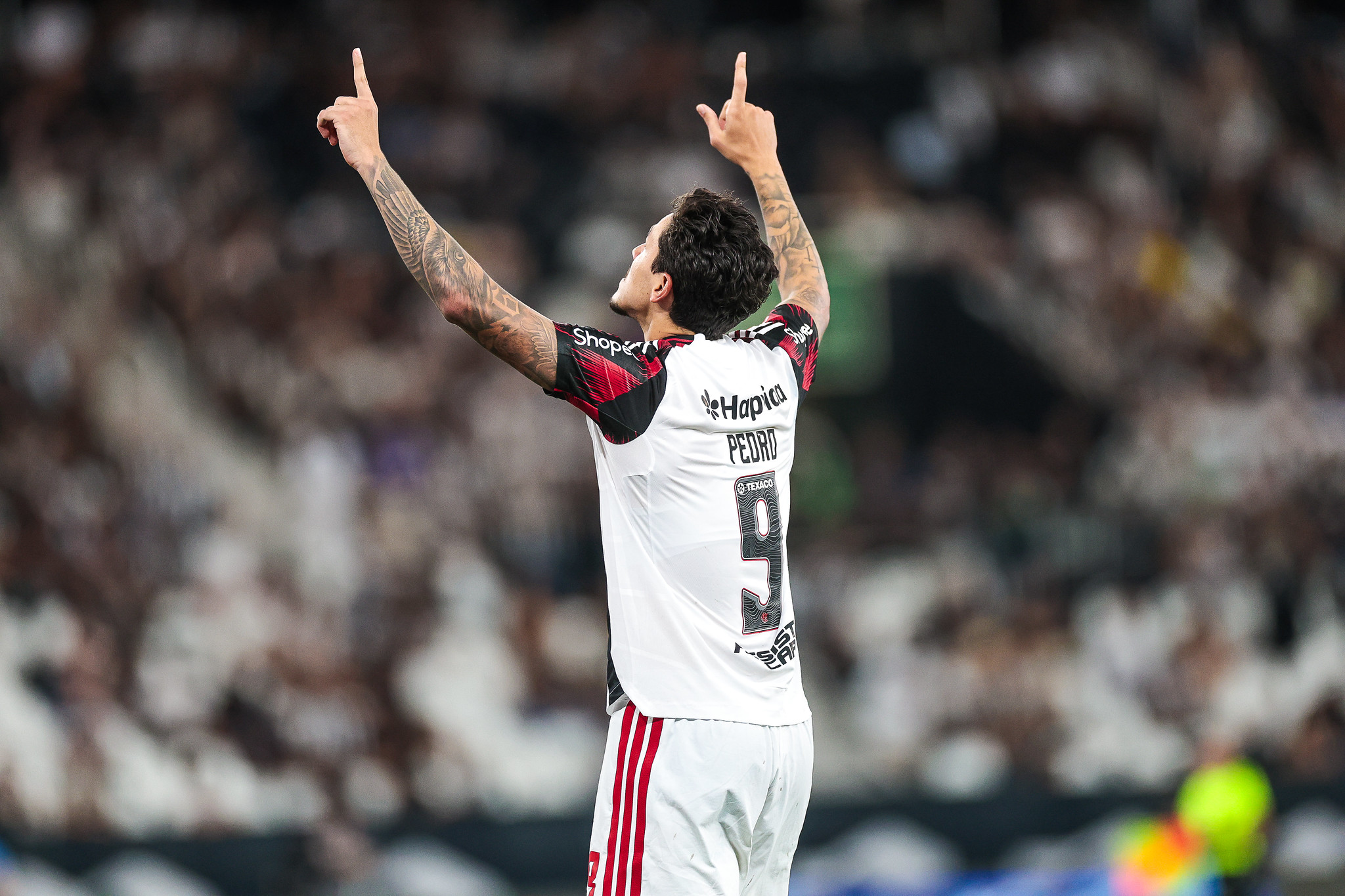 Flamengo x Remo odds, palpites e onde assistir – Campeonato Brasileiro