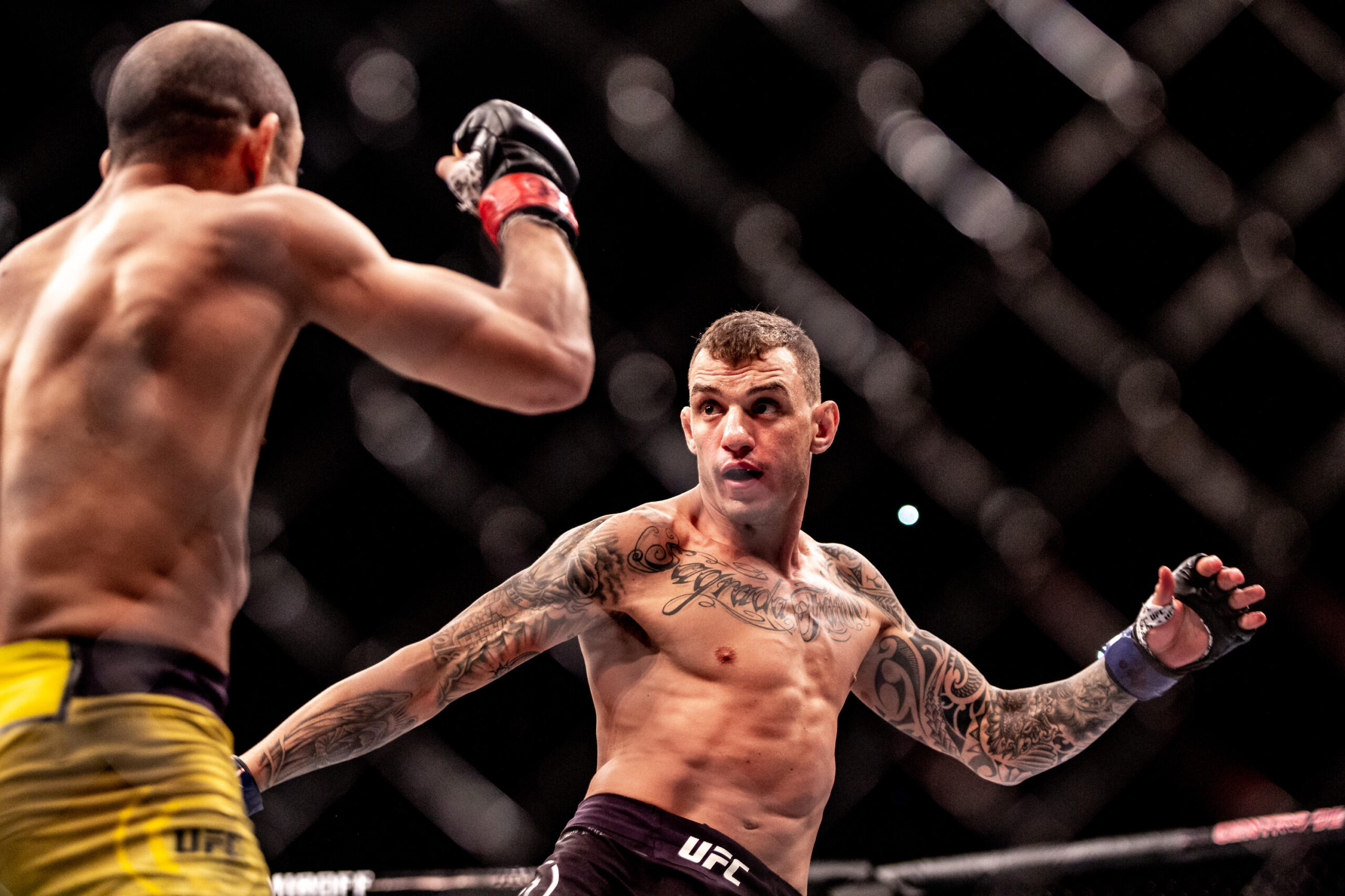 Moicano x Duncan odds, palpites e onde assistir do UFC Vegas 115