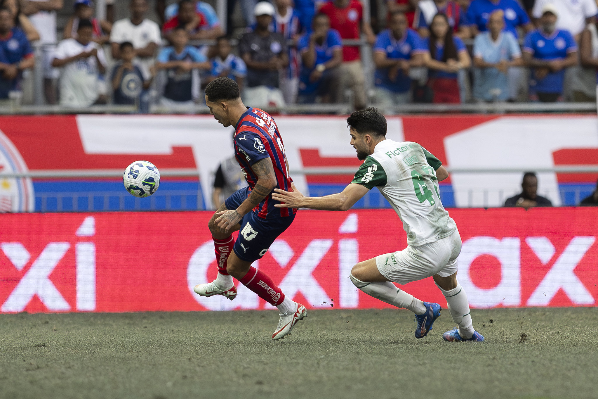 Bahia x Palmeiras odds, palpites e onde assistir do Campeonato Brasileiro