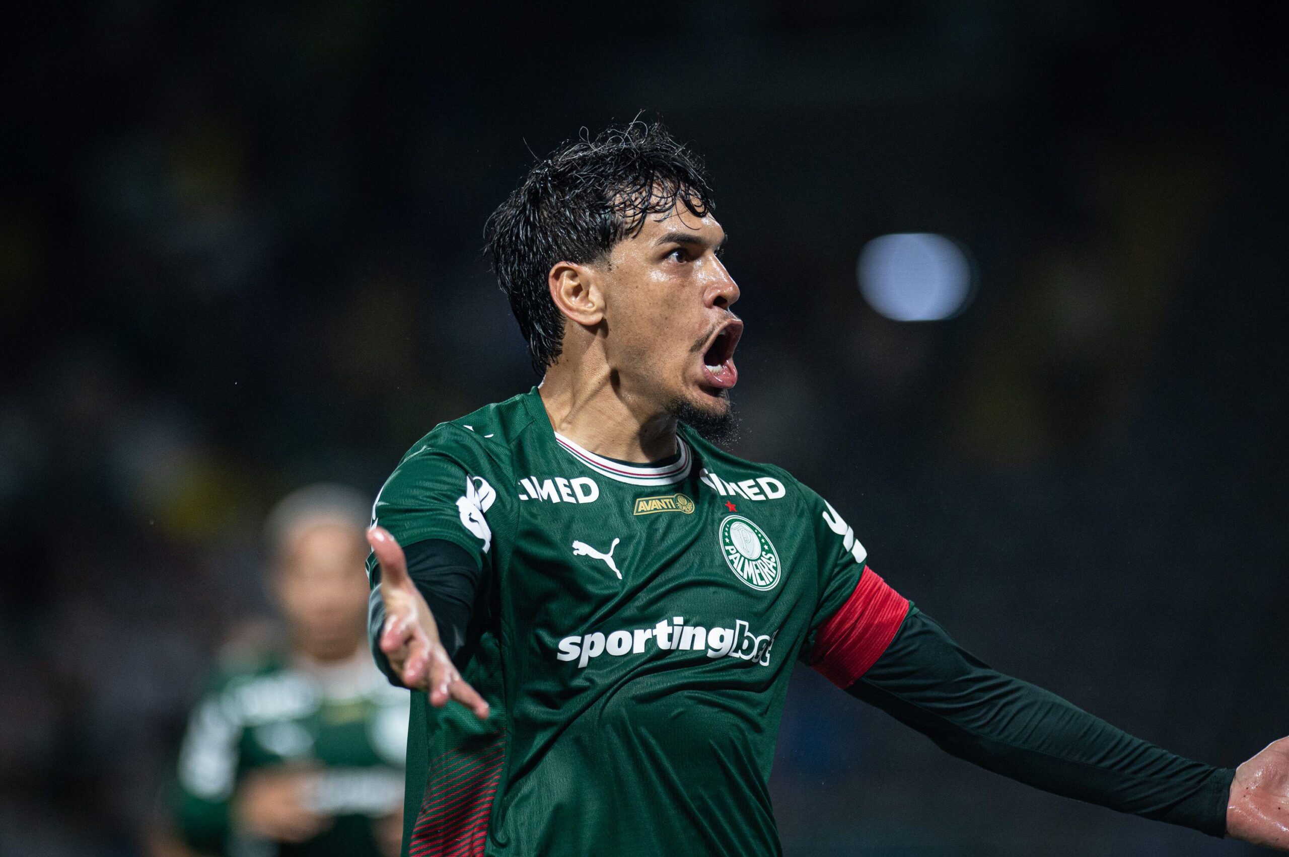 Bruno Vicari Verdão estreia na Libertadores com BIG ODD e Gol do Palmeiras Vale Mais