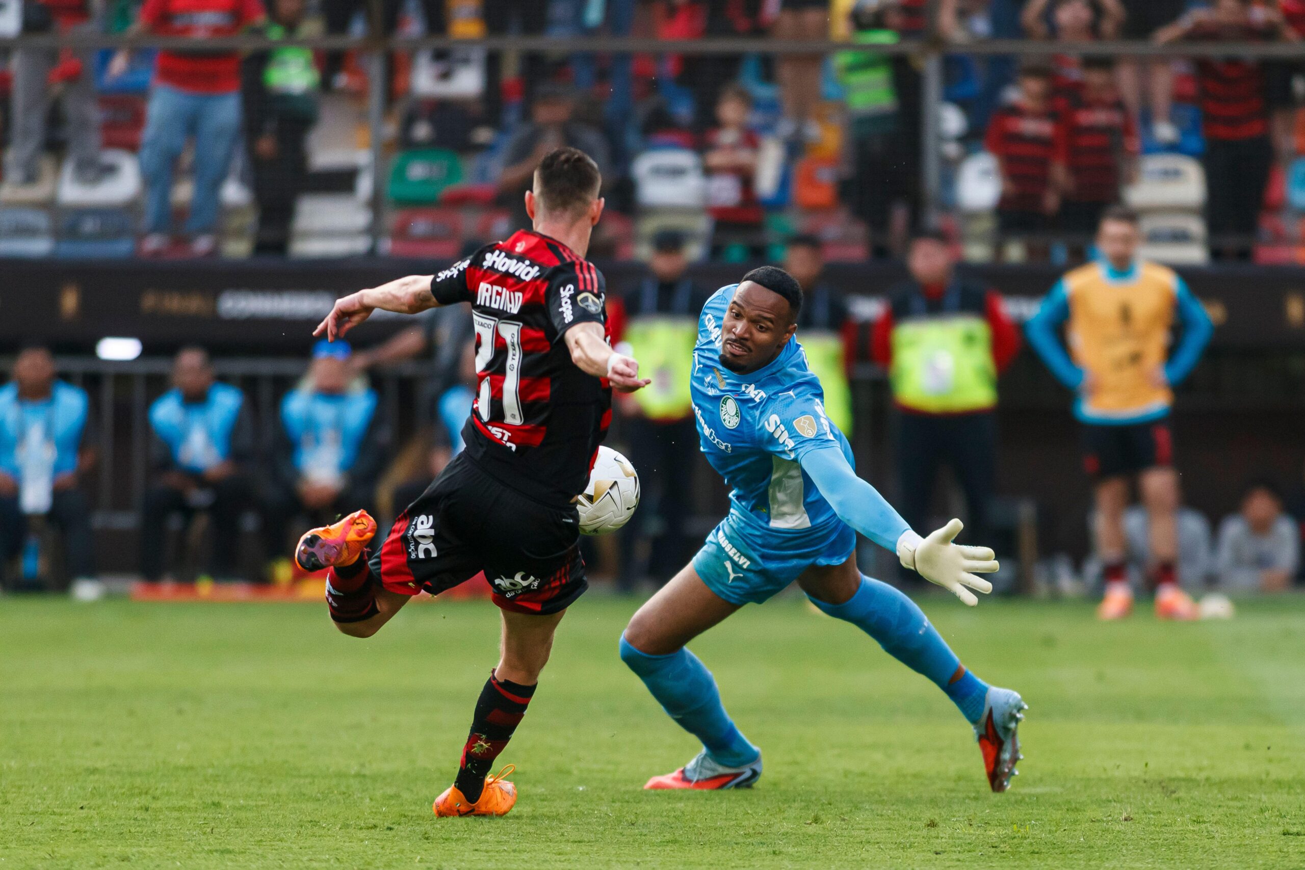 Flamengo x Palmeiras odds e palpites do Campeonato Brasileiro