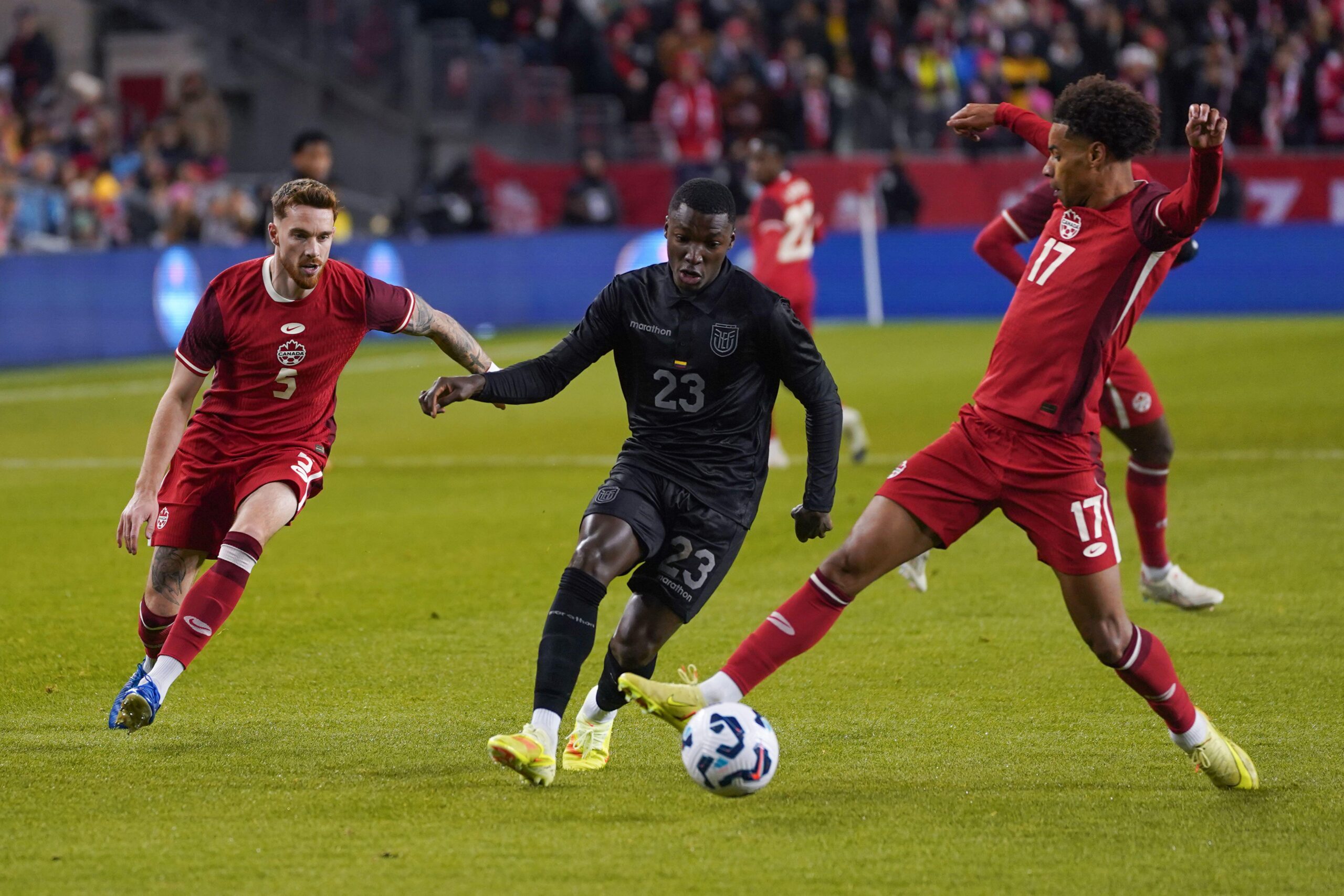 Costa do Marfim x Equador: palpites e odds da Copa do Mundo – 14/06